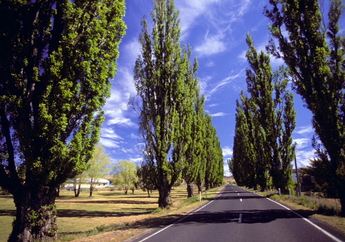 Berridale Maps, Attractions & Events